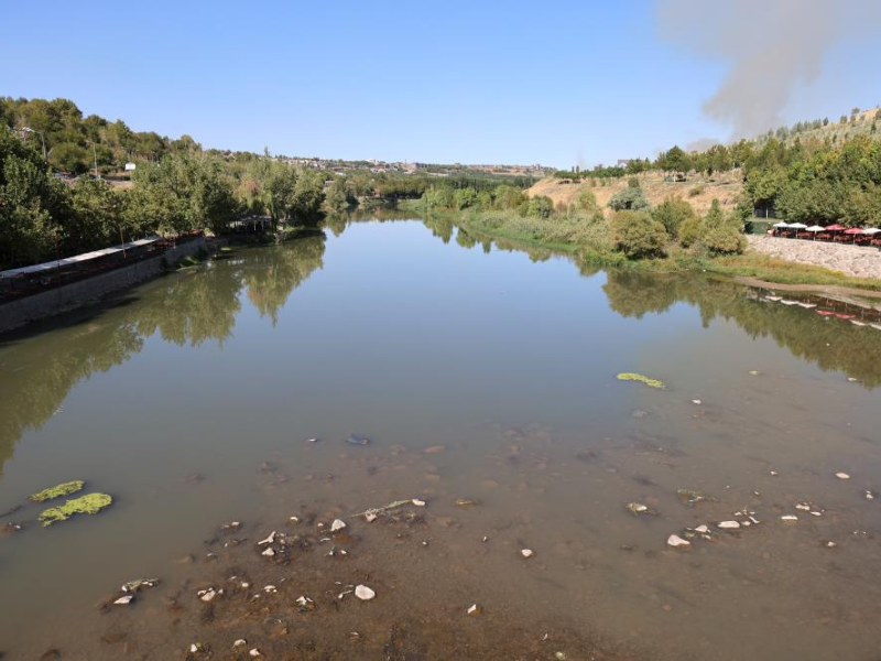 Dicle Nehri Tehlikede Kirlilik Ve Kuraklık Balık Ölümlerini Artırıyor (3)