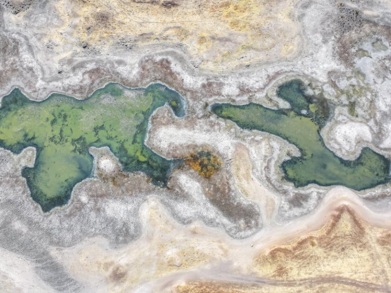 Diyarbakır Devegeçidi Barajı'nda Kuraklık Alarmı (1)