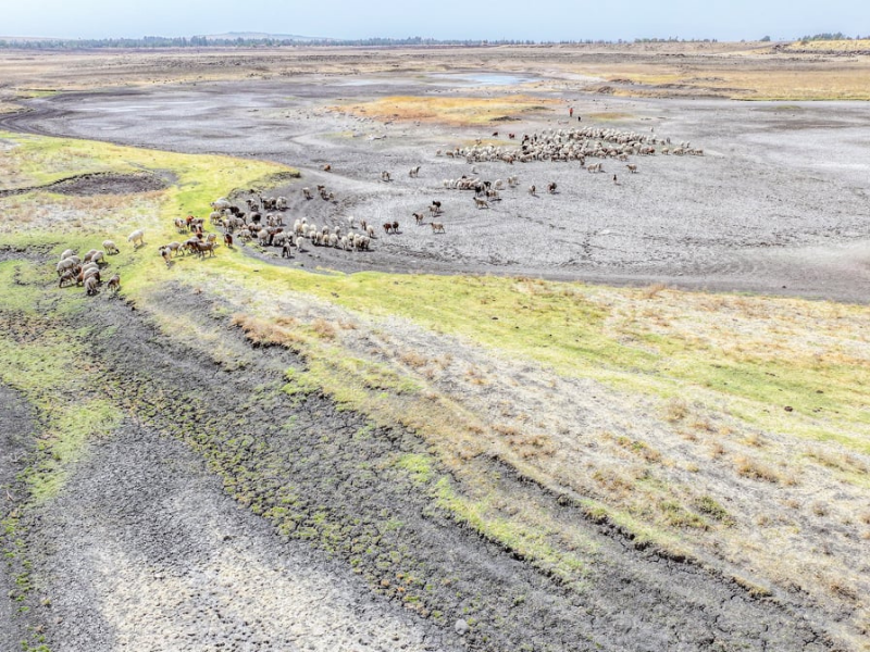 Diyarbakır Devegeçidi Barajı'nda Kuraklık Alarmı (2)