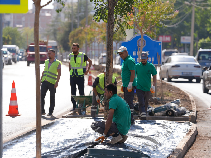 Diyarbakır Eşbaşkanları Ilçe Projelerini Inceledi (1)