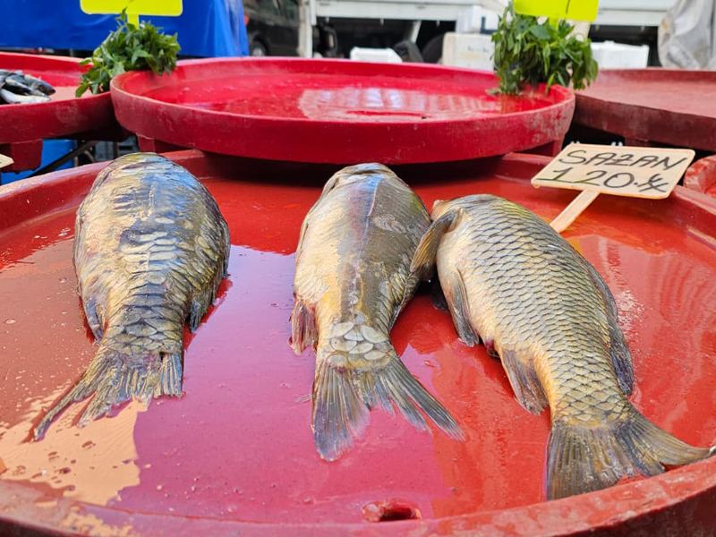 Diyarbakır’da Balık Bolluğu Tezgahlara Yansıdı3
