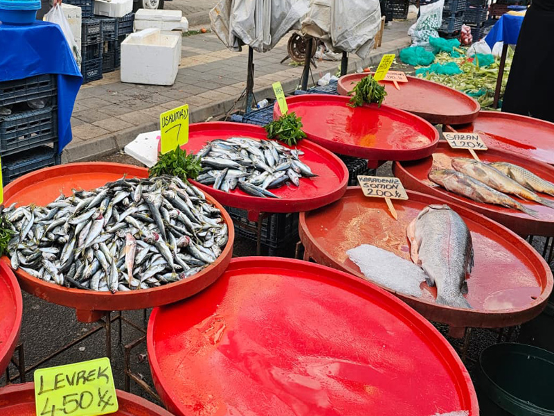 Diyarbakır’da Balık Bolluğu Tezgahlara Yansıdı4
