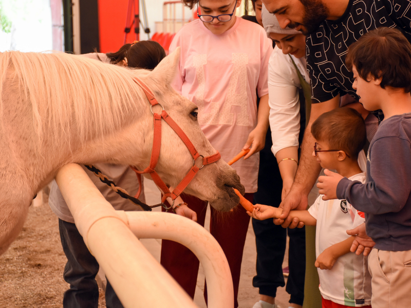 Diyarbakır’da Engelli Öğrencilere Atla Terapi Desteği Başladı (2)