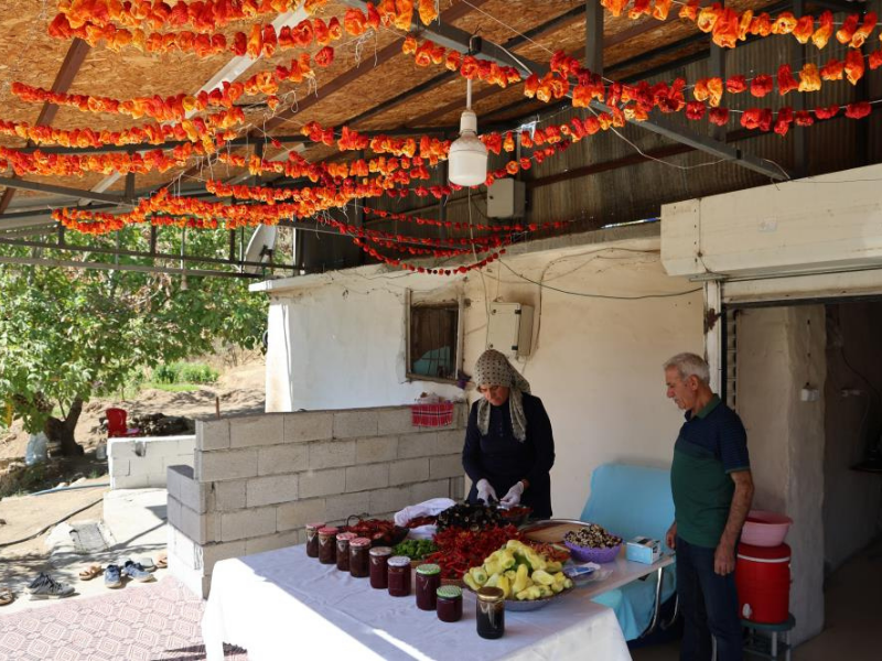 Diyarbakır’da Girişimci Kadın, Köyde Acı Ve Tatlıyı Buluşturdu (3)