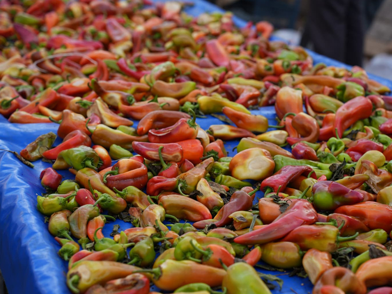 Diyarbakır'da Kadınların Kışlık Hazırlık Mesaisi Başladı5