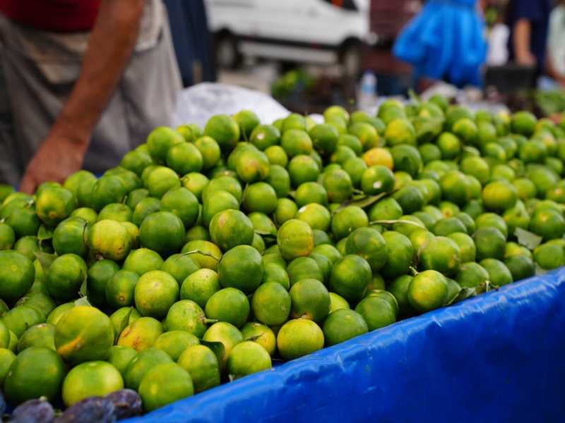 Diyarbakır’da Kışın Habercisi Mandalina Tezgahlarda3