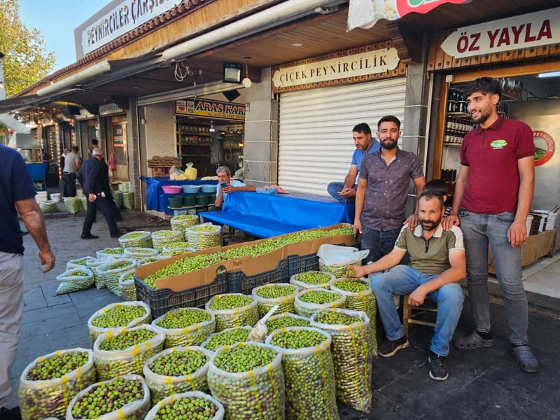 Diyarbakır’da Yeşil Zeytin Tezgahlarda Fiyatlar Cep Yakıyor4