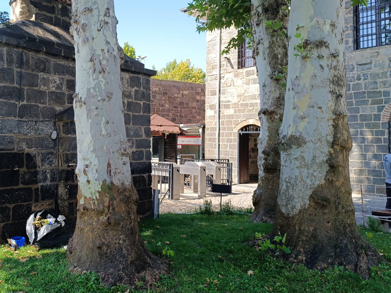 Diyarbakır’ın Ortasında Ağaç Katliamı3