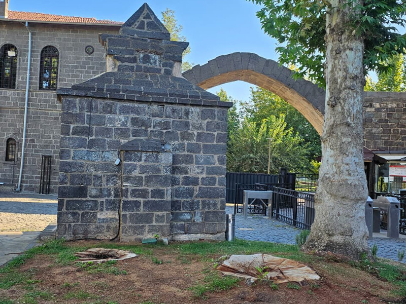 Diyarbakır’ın Ortasında Ağaç Katliamı5