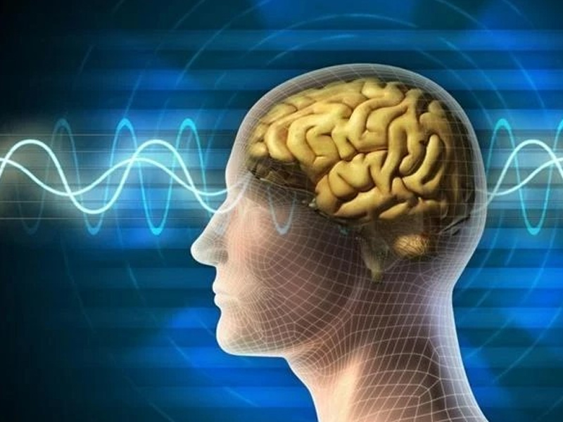 İnsan Beyninin Gizemi Ve Karmaşık Yapısı2