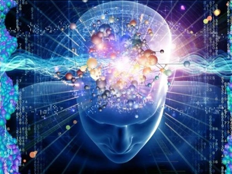 İnsan Beyninin Gizemi Ve Karmaşık Yapısı3