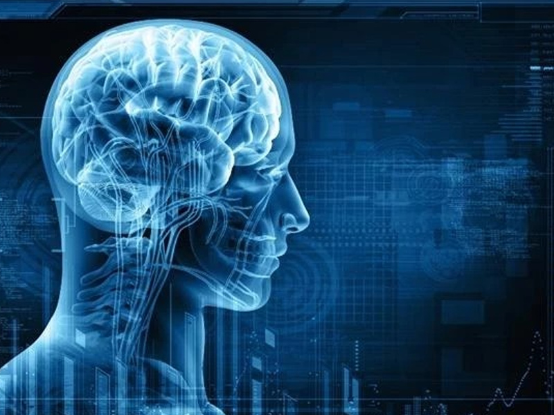 İnsan Beyninin Gizemi Ve Karmaşık Yapısı4