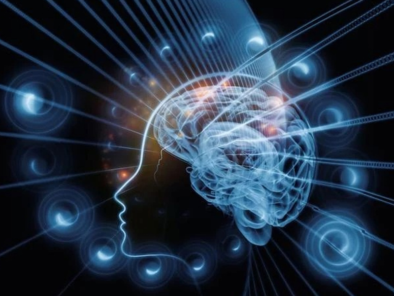 İnsan Beyninin Gizemi Ve Karmaşık Yapısı5