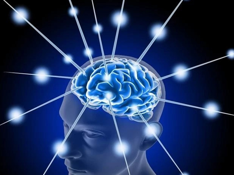İnsan Beyninin Gizemi Ve Karmaşık Yapısı6