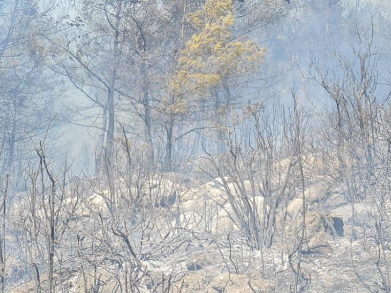 Trafodan Kaynaklı Yangın Çıktı! Müdahale Sürüyor (1)
