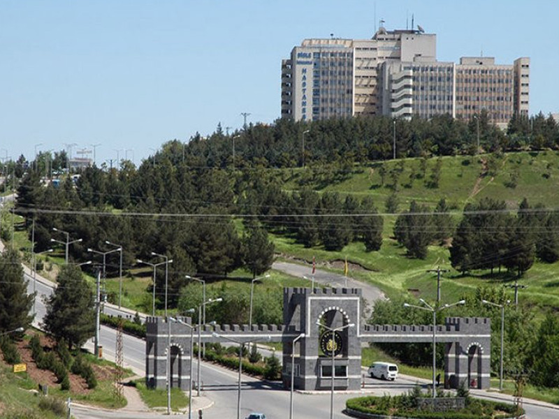 Dicle Üniversitesi Öğrencileri Borca Soktu3