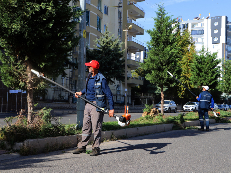 Diyarbakır’da Ağaç Budama Ve Yeşil Alan Bakımı Başladı (2)