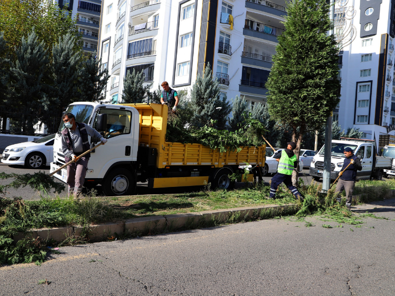 Diyarbakır’da Ağaç Budama Ve Yeşil Alan Bakımı Başladı (3)