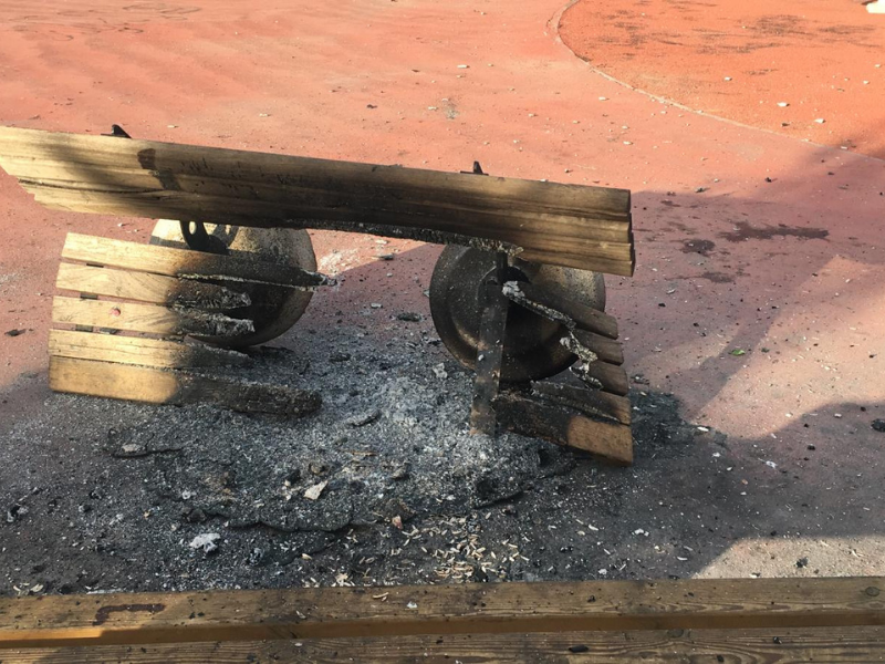 Diyarbakır’da Banklar Ateşe Verildi, Yeşil Alanlar Tehlikede (2)