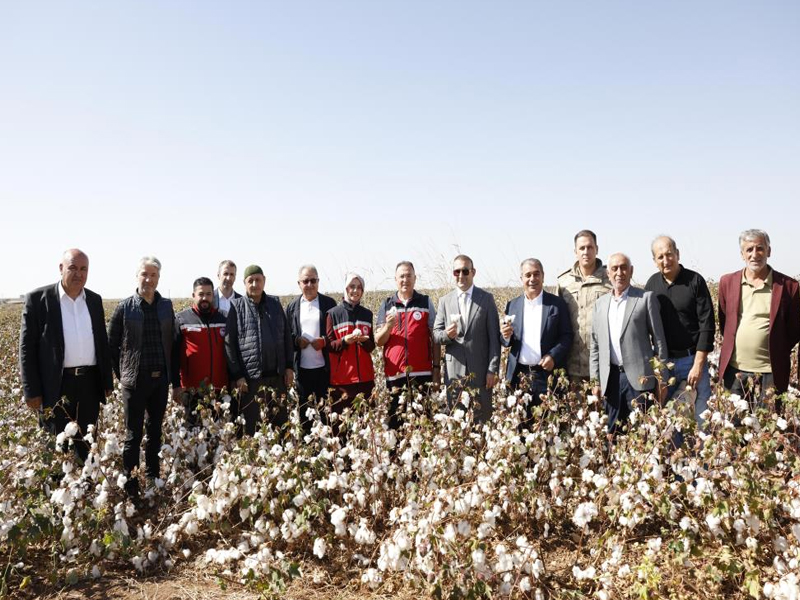 Diyarbakır’da Pamuk Hasadıyla Sezon Açıldı1