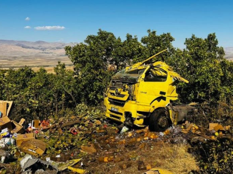 Diyarbakır’dan Muş’a Giden Tır Kaza Yaptı-1