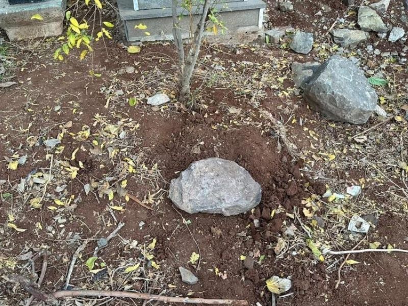 Mezarlıkta Korkunç Olay Şanlıurfa’da Bebek Cesedi Bulundu (2)