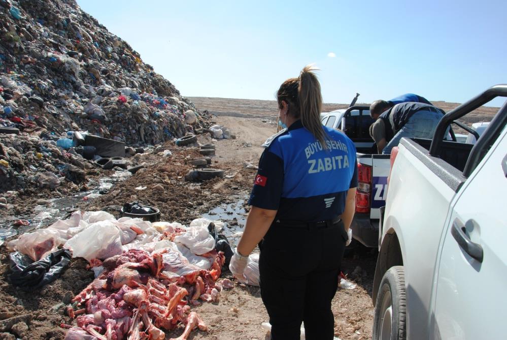 Şanlıurfa’da 1 Ton Bozuk Et Ele Geçirildi (2)