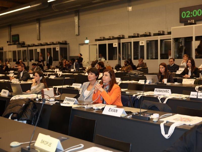 Serra Bucak Eşbaşkanlık Sistemi 1