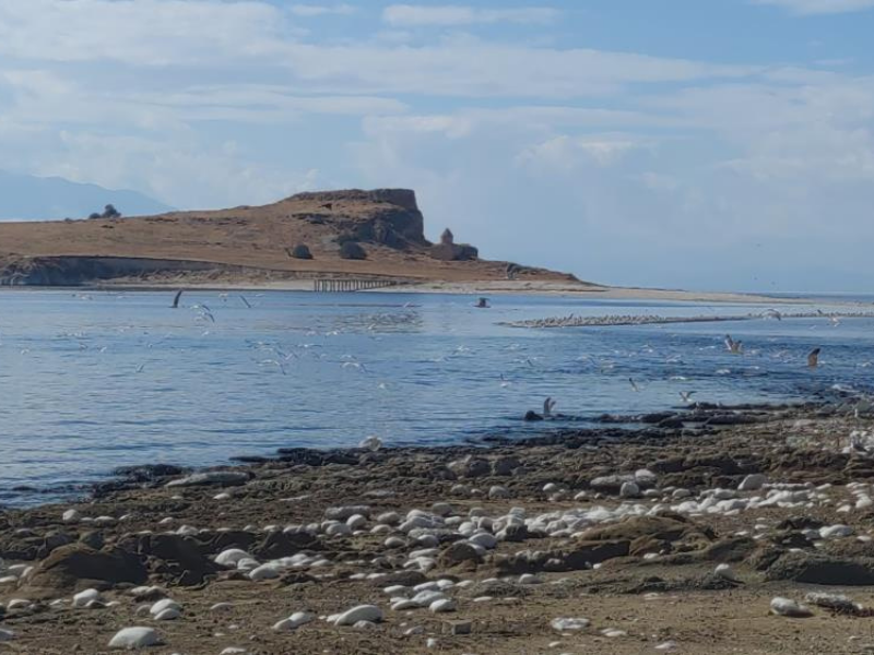 Van Gölü’nde Antik Yol Su Altından Çıktı (4)