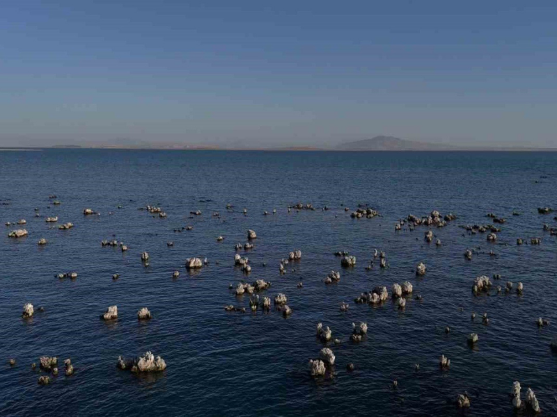 Van Gölü’nde Ekosistem Alarm Veriyor-1