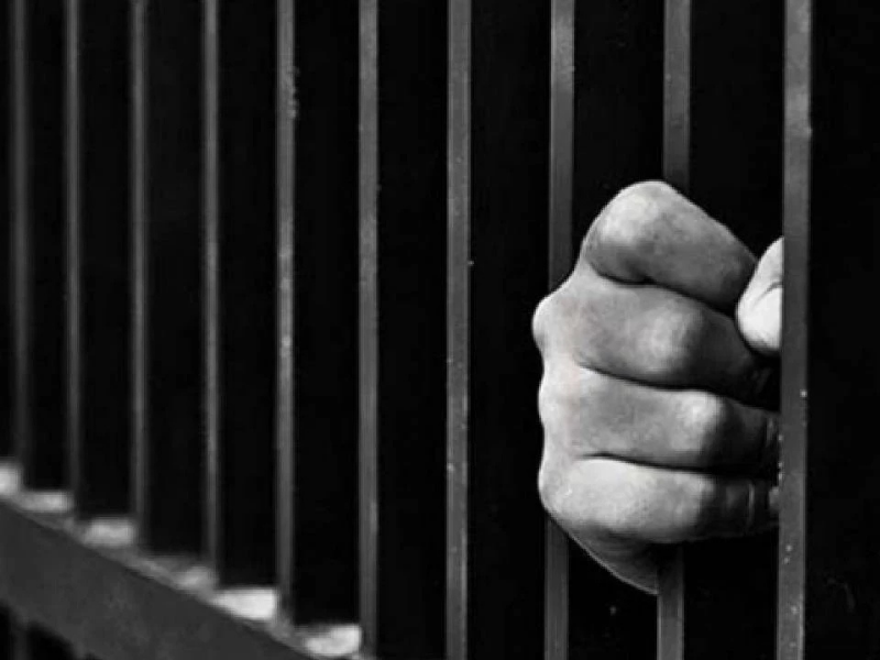 31 Temmuz Öncesi Suç Işleyenlere Erken Tahliye Yolu (2)