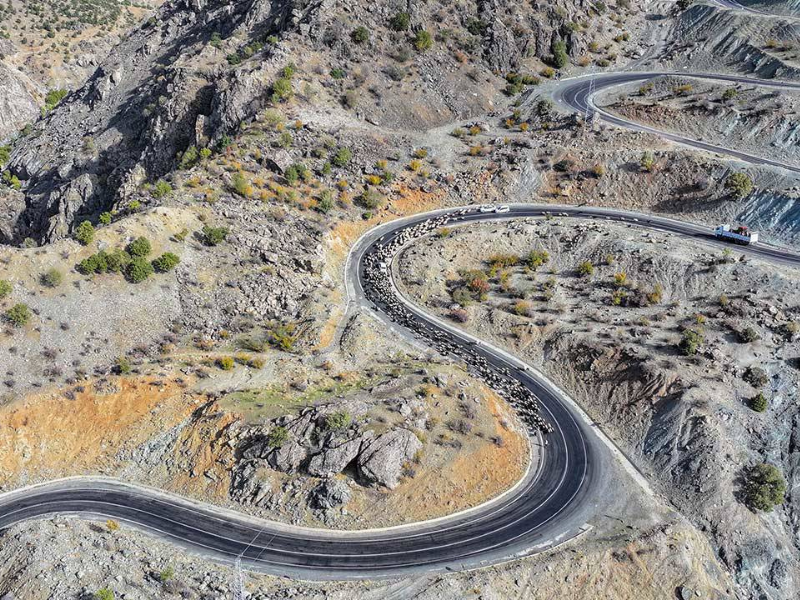 Diyarbakır–Muş Hattında Göçerlerin Kış Göçü (2)