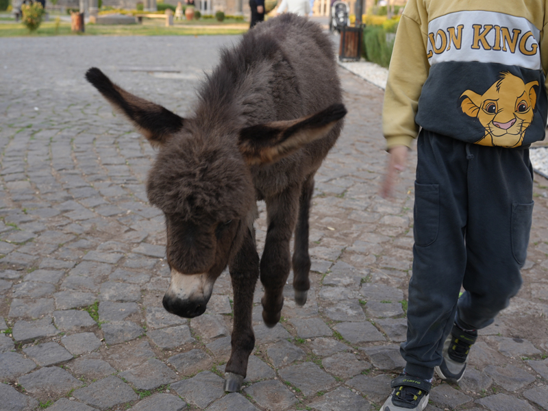 Diyarbakır Müzesi’nin Yeni Gözdesi5