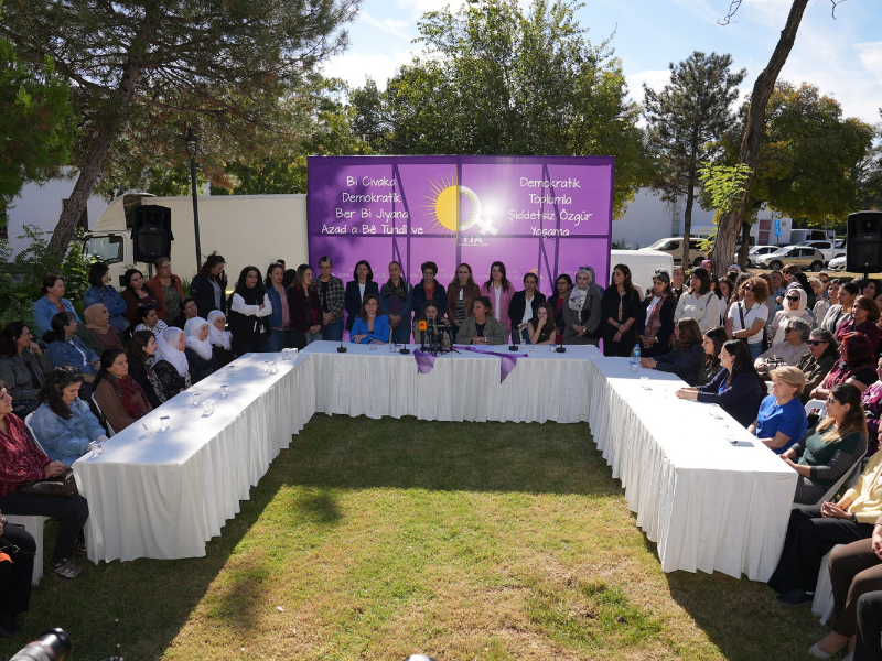 Diyarbakır’da Kadınlardan 25 Kasım Mesajı (2)