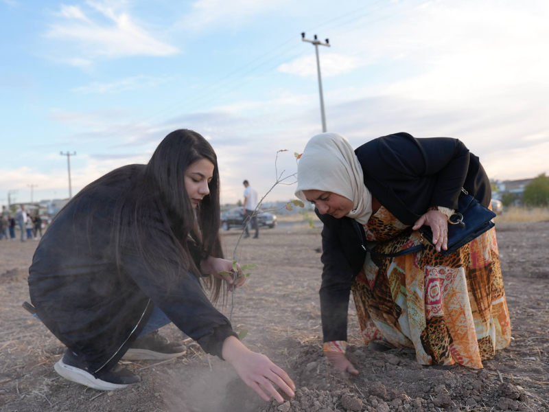 Diyarbakır’da Katledilen Kadınlar Için Fidan Dikildi (2)