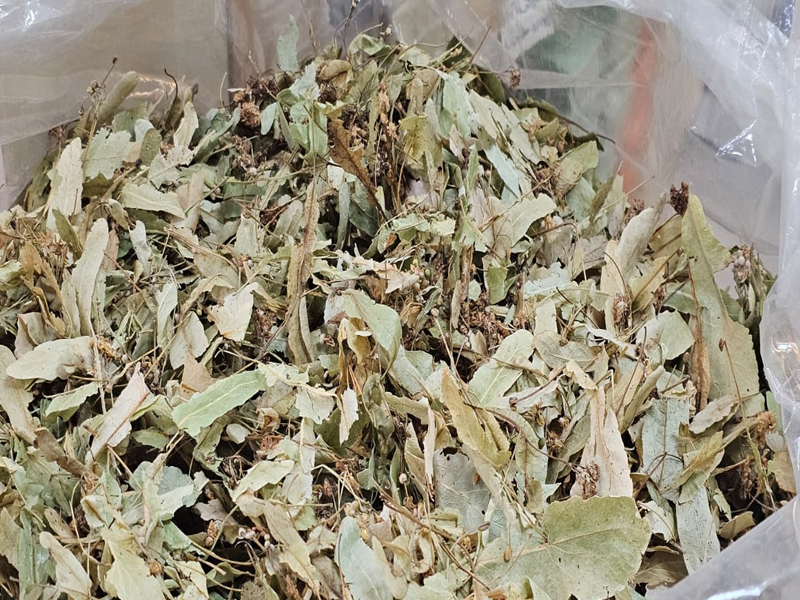 Diyarbakır’da Kış Kendini Gösterdi Ihlamur 3 Bin Liraya Çıktı2