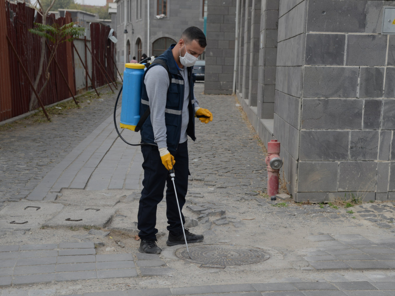 Diyarbakır’da Kışlak Haşere Mücadelesi Başladı (1)