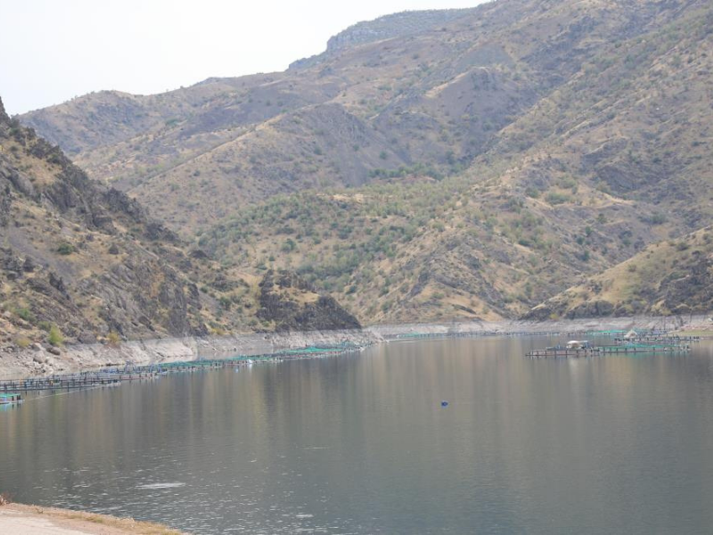 Diyarbakır’da “Mezopotamya Somonu” Dünyaya Açılıyor (2)