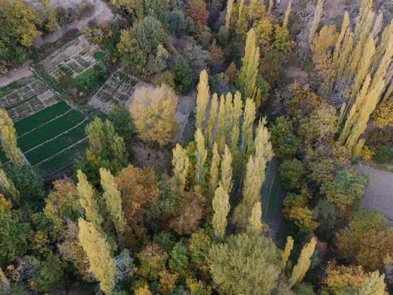Diyarbakır’ın Tarihi Evleri Doğayla Renk Cümbüşüne Büründü (1)