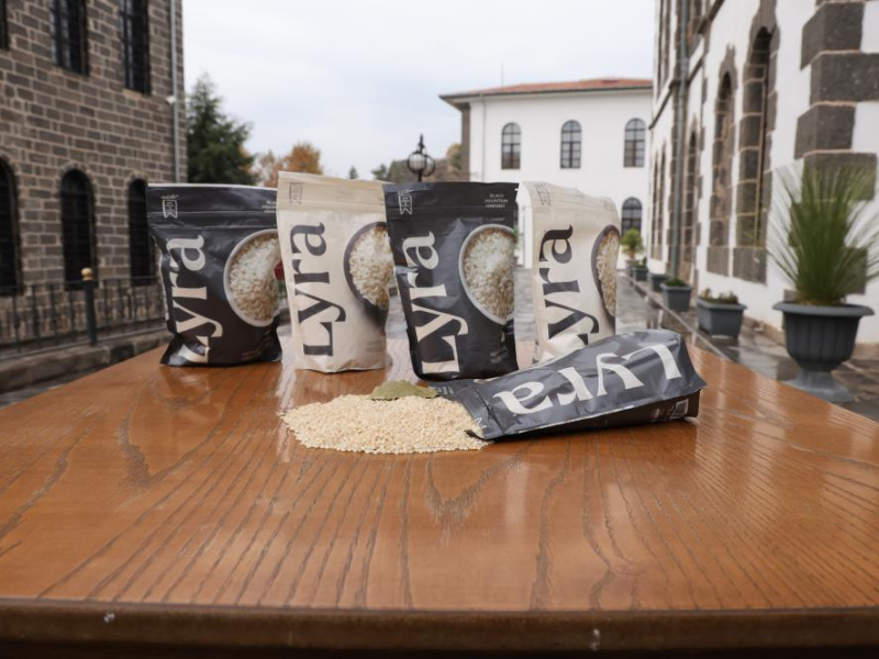 Diyarbakır’da 6 Yıl Nadasla Yetişen Özel Pirinç (2)