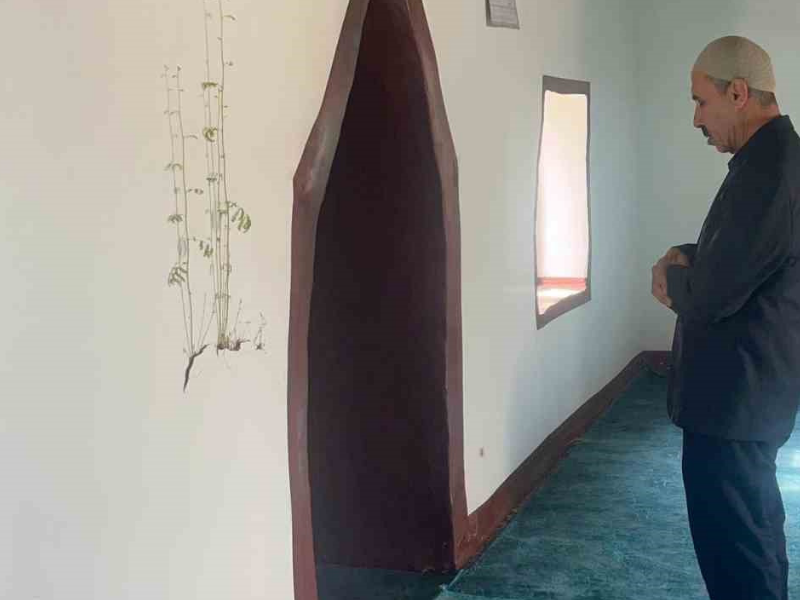 Diyarbakır’da Camide Kuru Duvarın Içinden Bitki Yeşerdi (1)