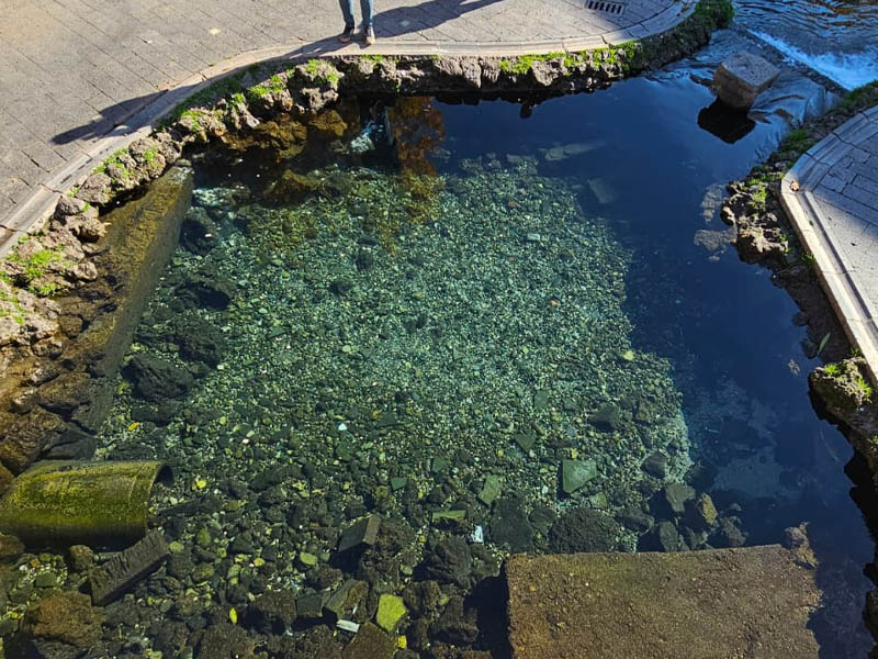 Diyarbakır’da Çocuklar Soğuk Havaya Rağmen Anzele’den Vazgeçmiyor3