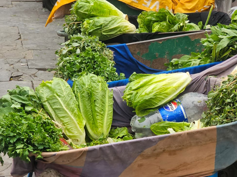 Diyarbakır’da Hevsel’in Bereket Kadınların Alın Teriyle Hayat Buluyor4