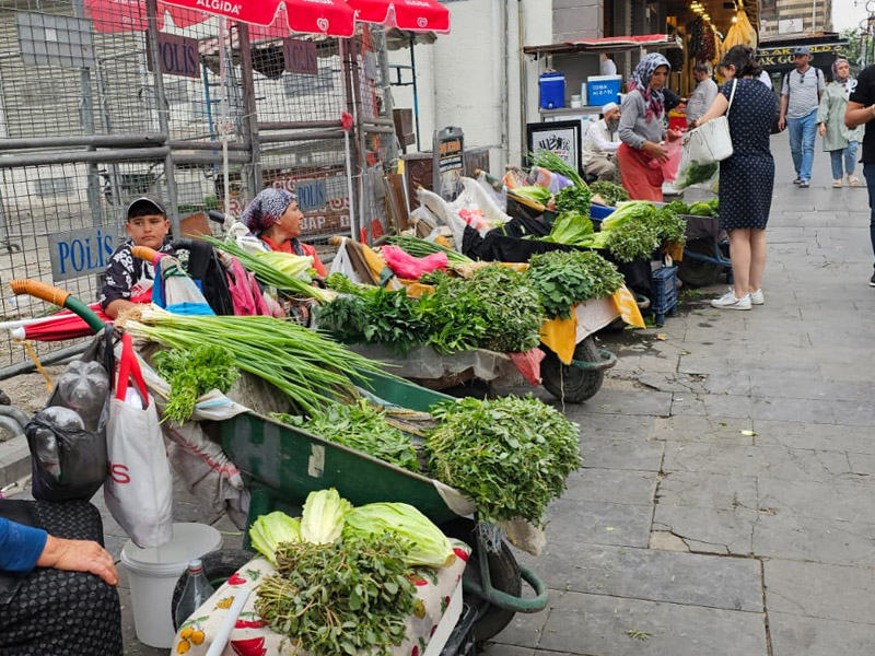 Diyarbakır’da Hevsel’in Bereket Kadınların Alın Teriyle Hayat Buluyor5