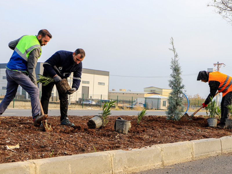 Diyarbakır’da Kent Girişlerinde Ağaçlandırma Çalışmaları Başladı (1)