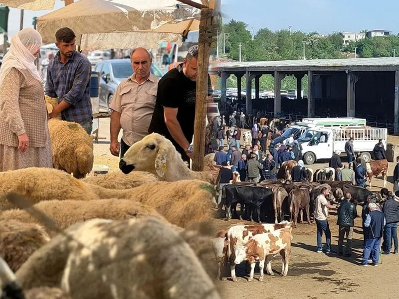Diyarbakır’da Kurban Kesim Yerleri Yeniden Canlandı3