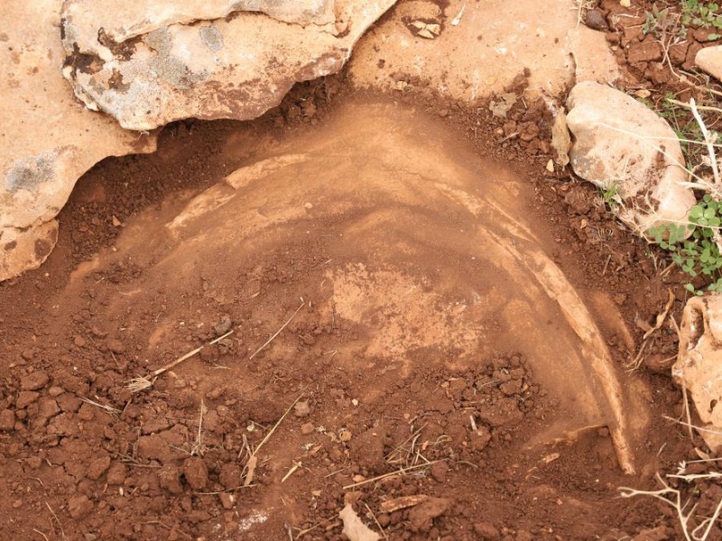 Diyarbakır’da Milyonlarca Yıllık Deniz Izleri Ortaya Çıktı (2)