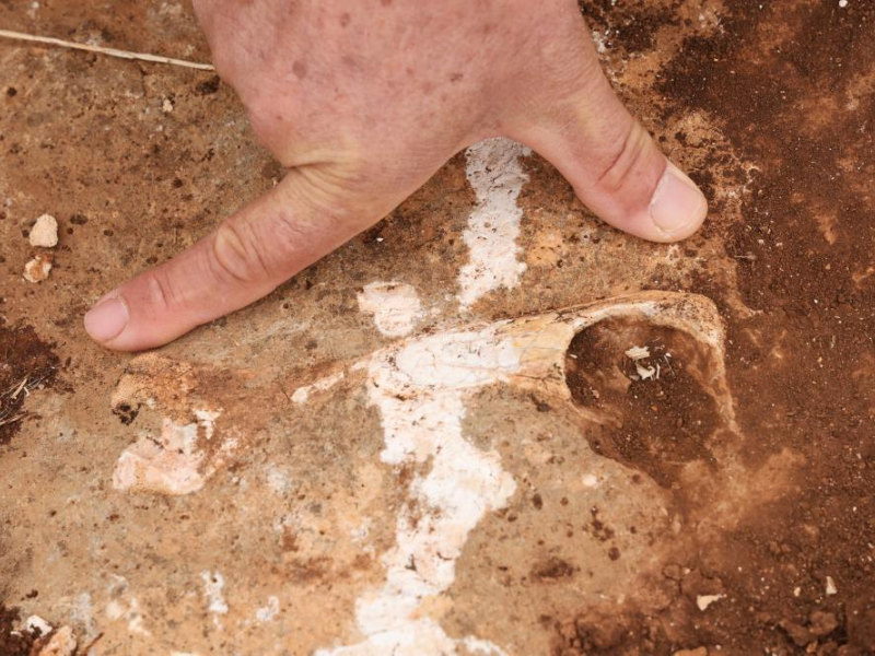 Diyarbakır’da Milyonlarca Yıllık Deniz Izleri Ortaya Çıktı (3)