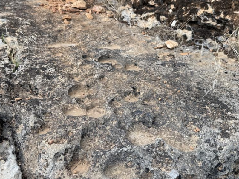 Diyarbakır’da On Binlerce Yıllık Doğa Mirası Görüntülendi (1)