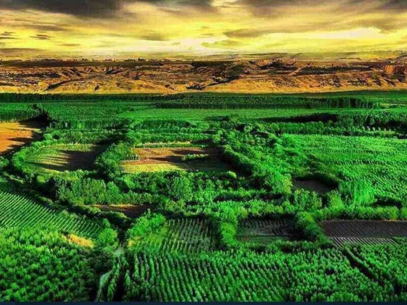 Diyarbakır’da Rant Iddialarına Büyükşehir’den Açıklama (4)